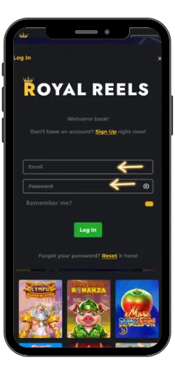 Input your personal details on the Royal Reels 19 login page