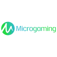 Microgaming Provider